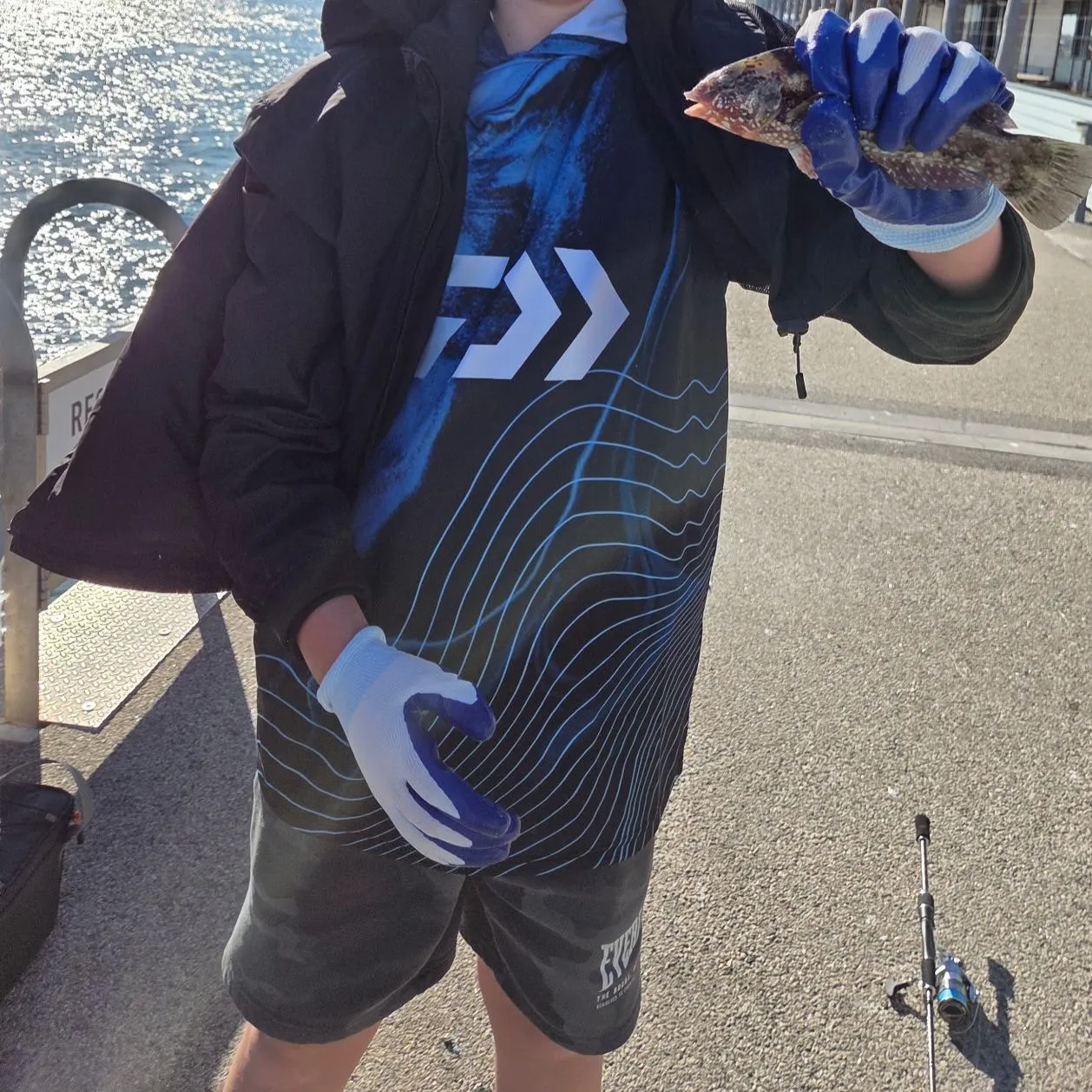 The most recent Brownspotted wrasse catches on Fishbrain