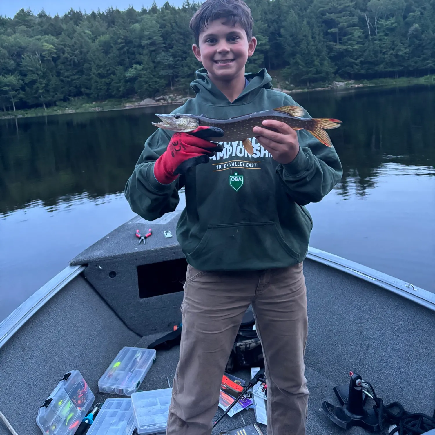 Northern pike caught on Fishbrain