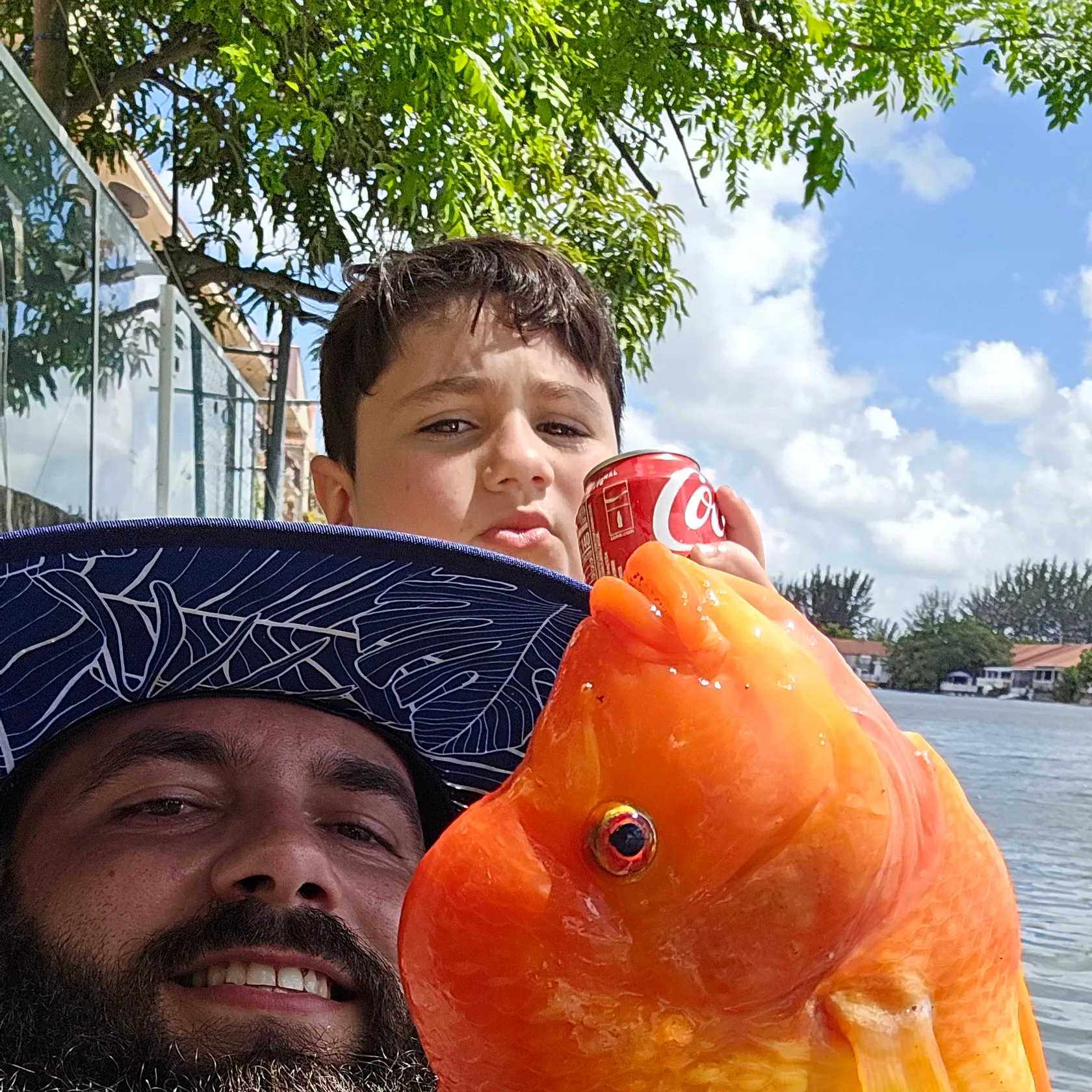 most liked catch image