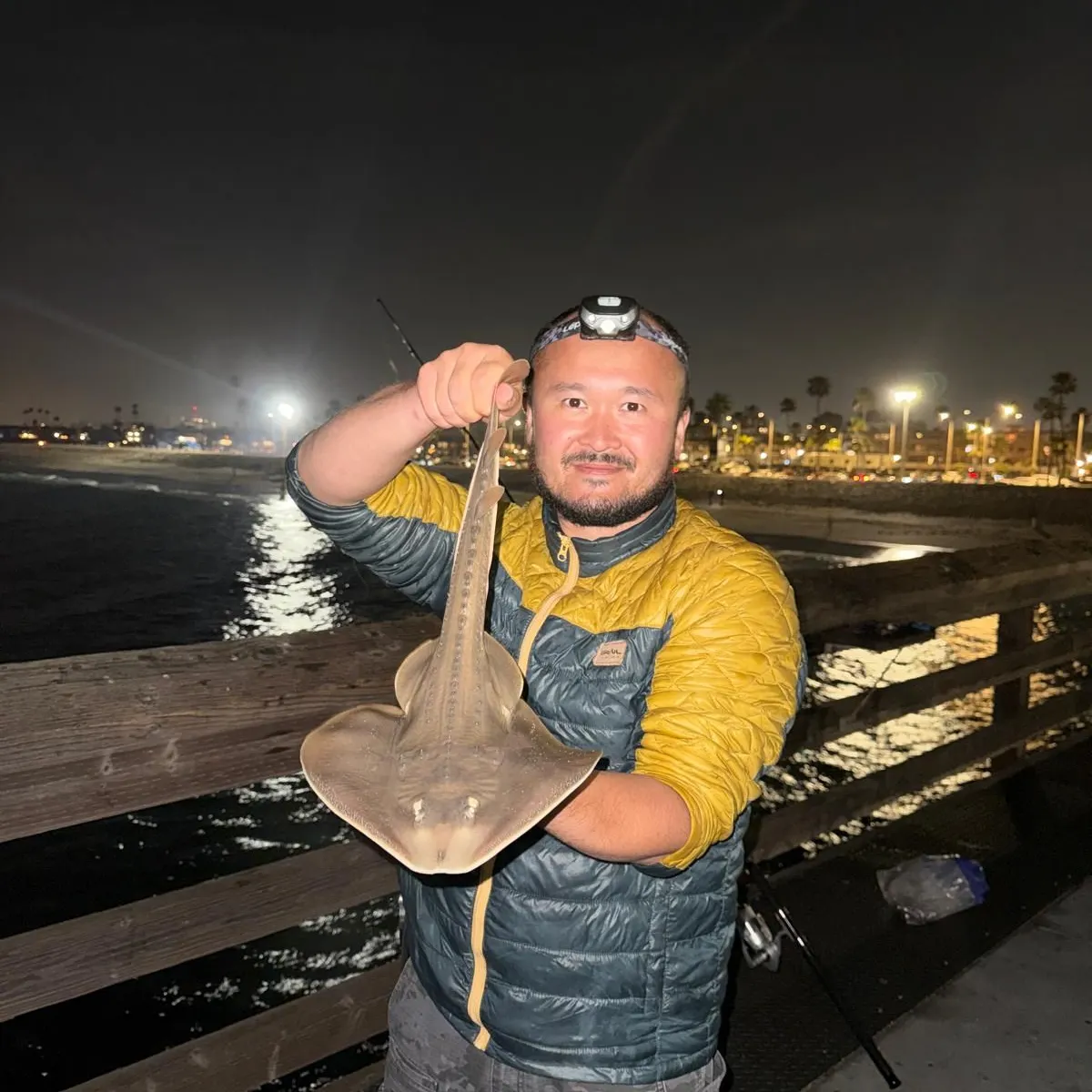 The most recent Thornback guitarfish catches on Fishbrain