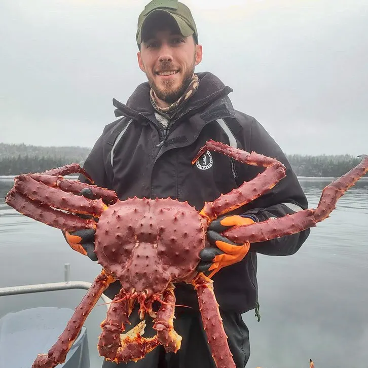 The most recent Alaskan king crab catches on Fishbrain