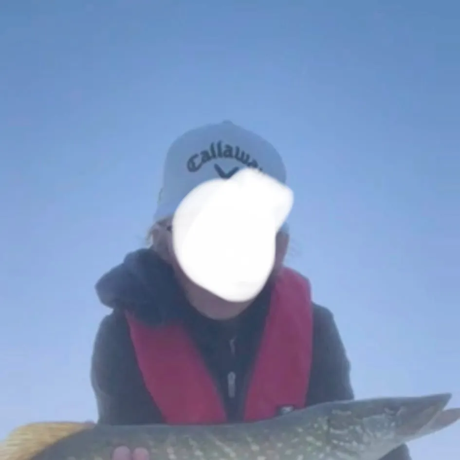 Northern pike caught on Fishbrain