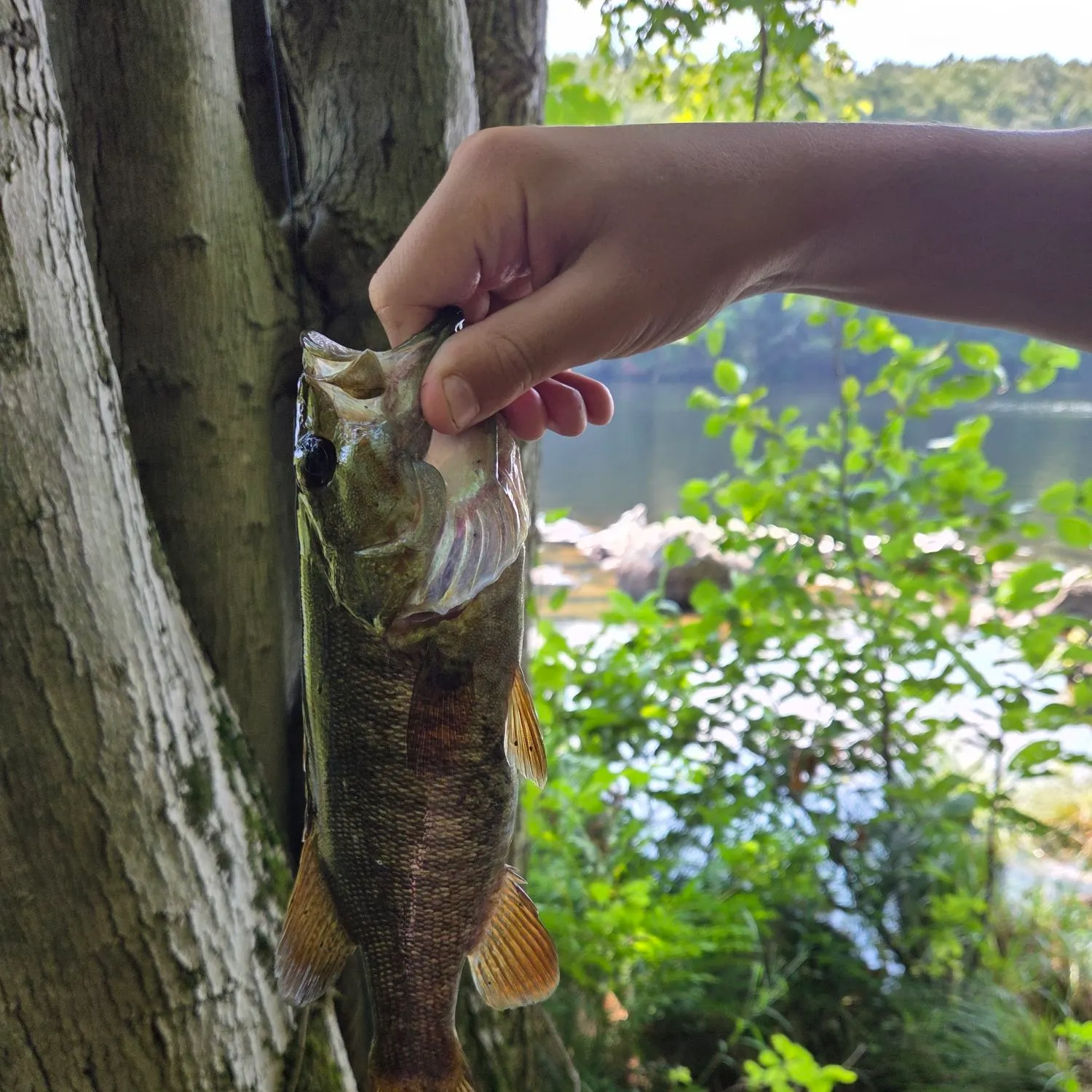 catch