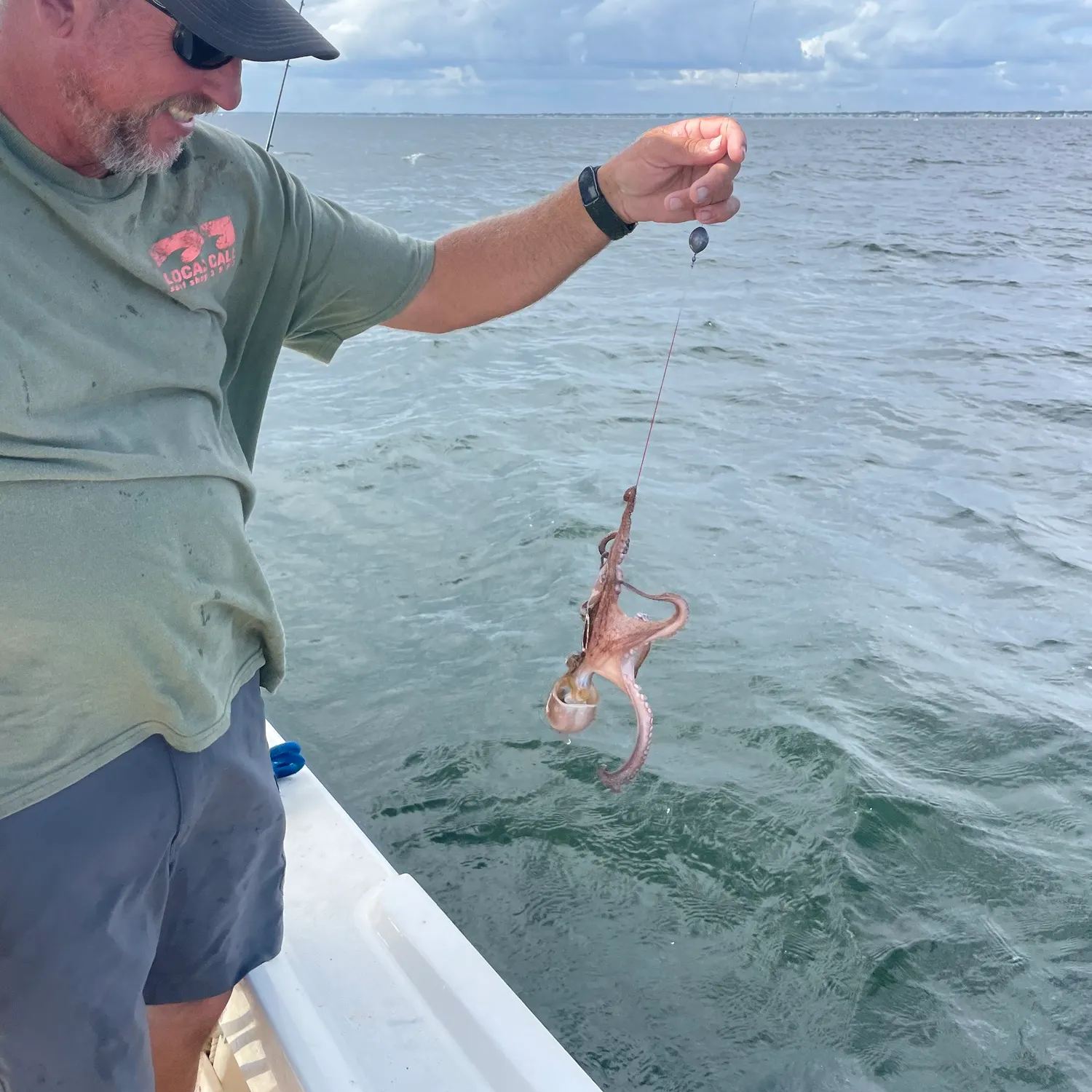 The most recent Hammer octopus catches on Fishbrain