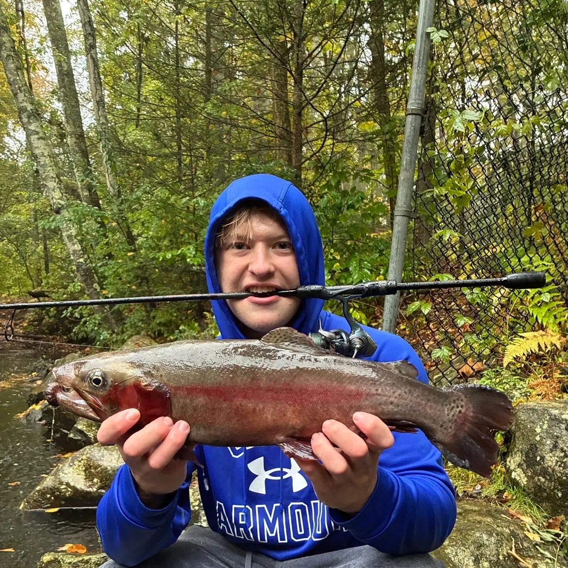 Rainbow trout caught on Fishbrain