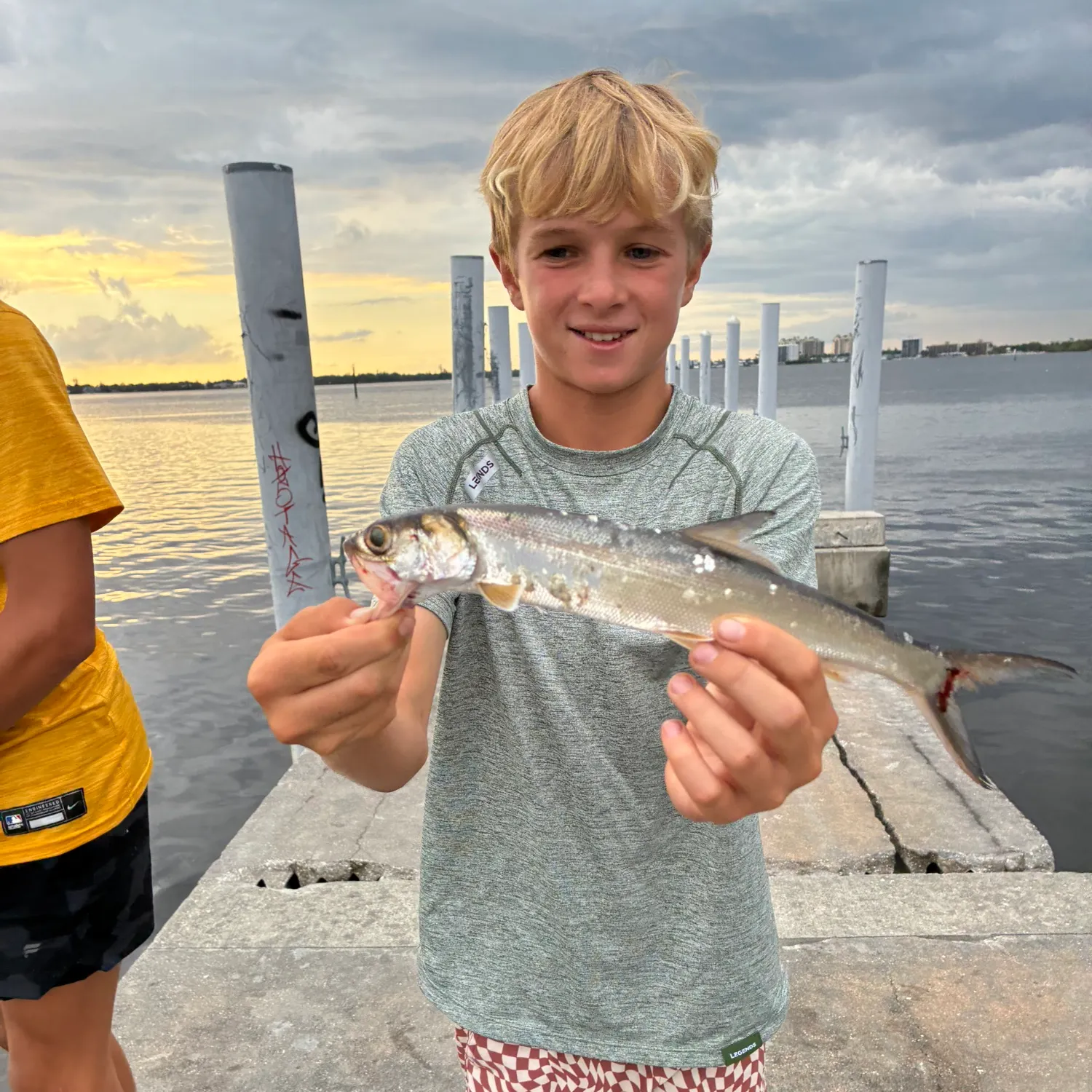 The most recent Ladyfish catches on Fishbrain