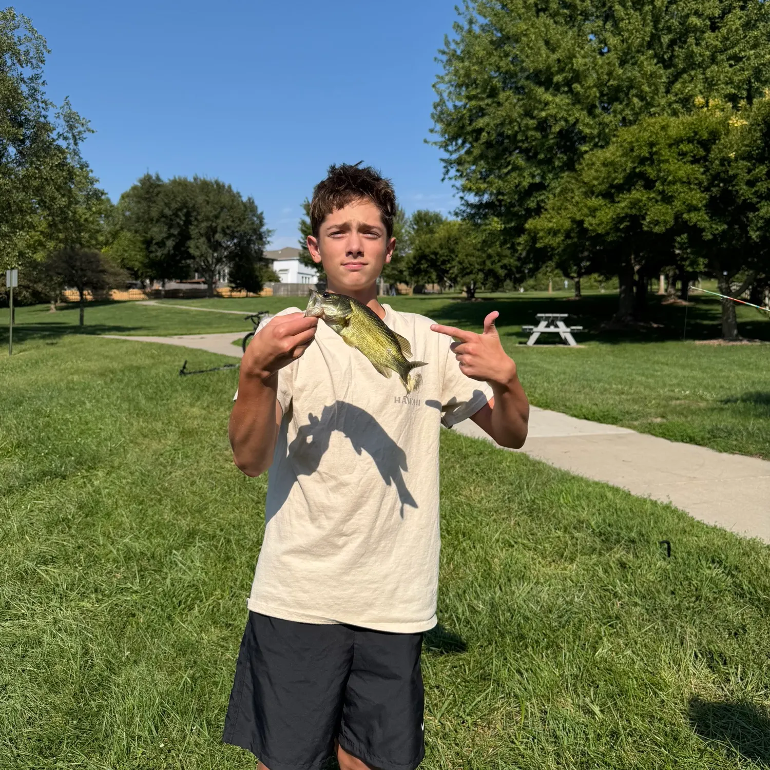 Largemouth bass caught on Fishbrain