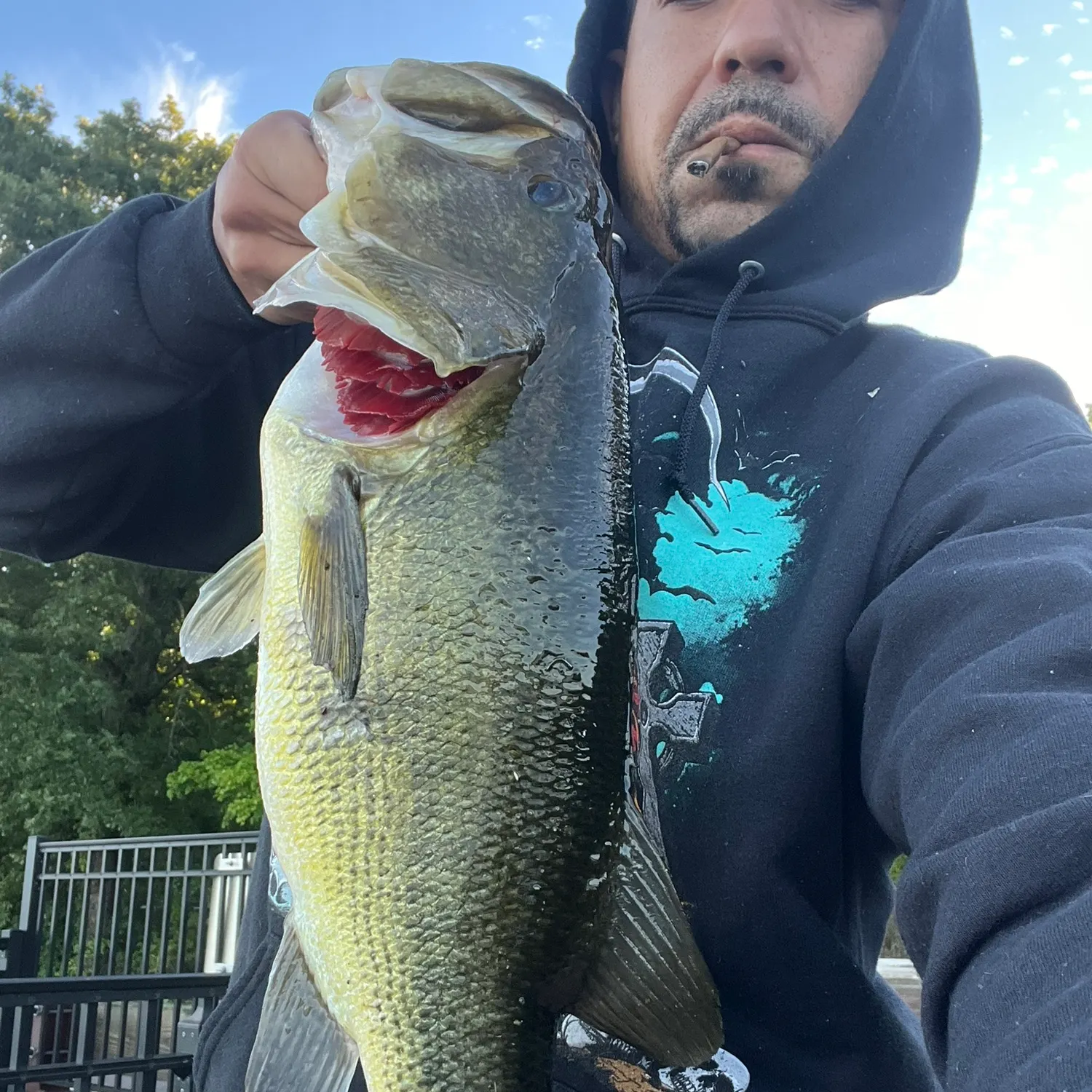 Largemouth bass caught on Fishbrain