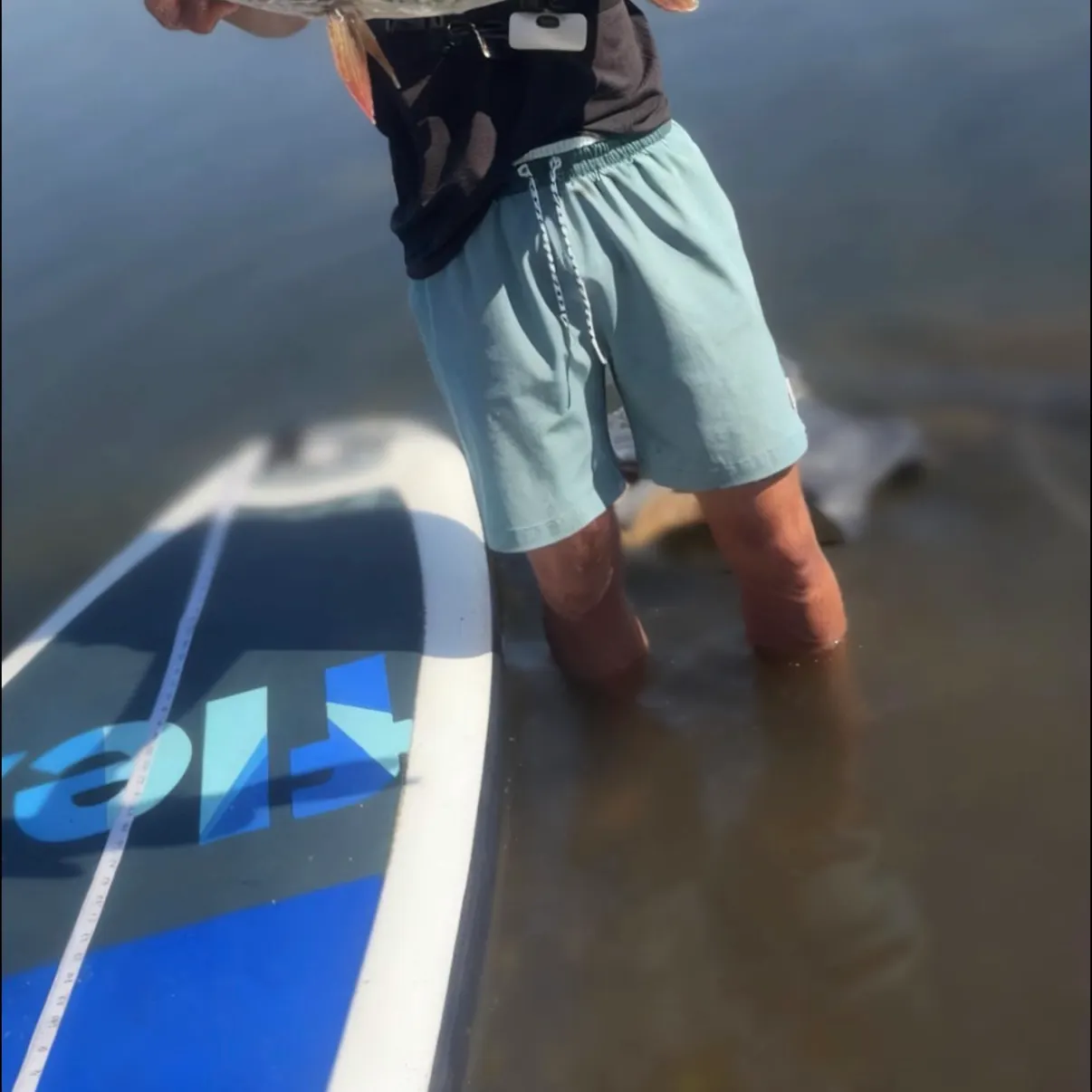 Northern pike caught on Fishbrain