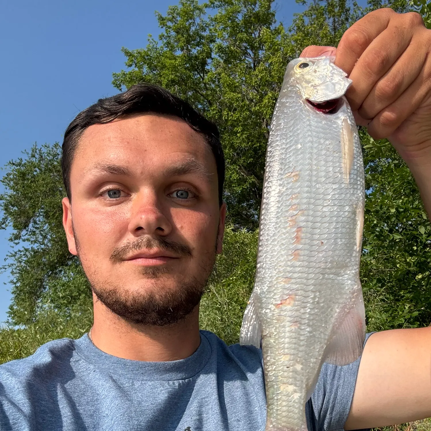 The most recent Goldeye catches on Fishbrain