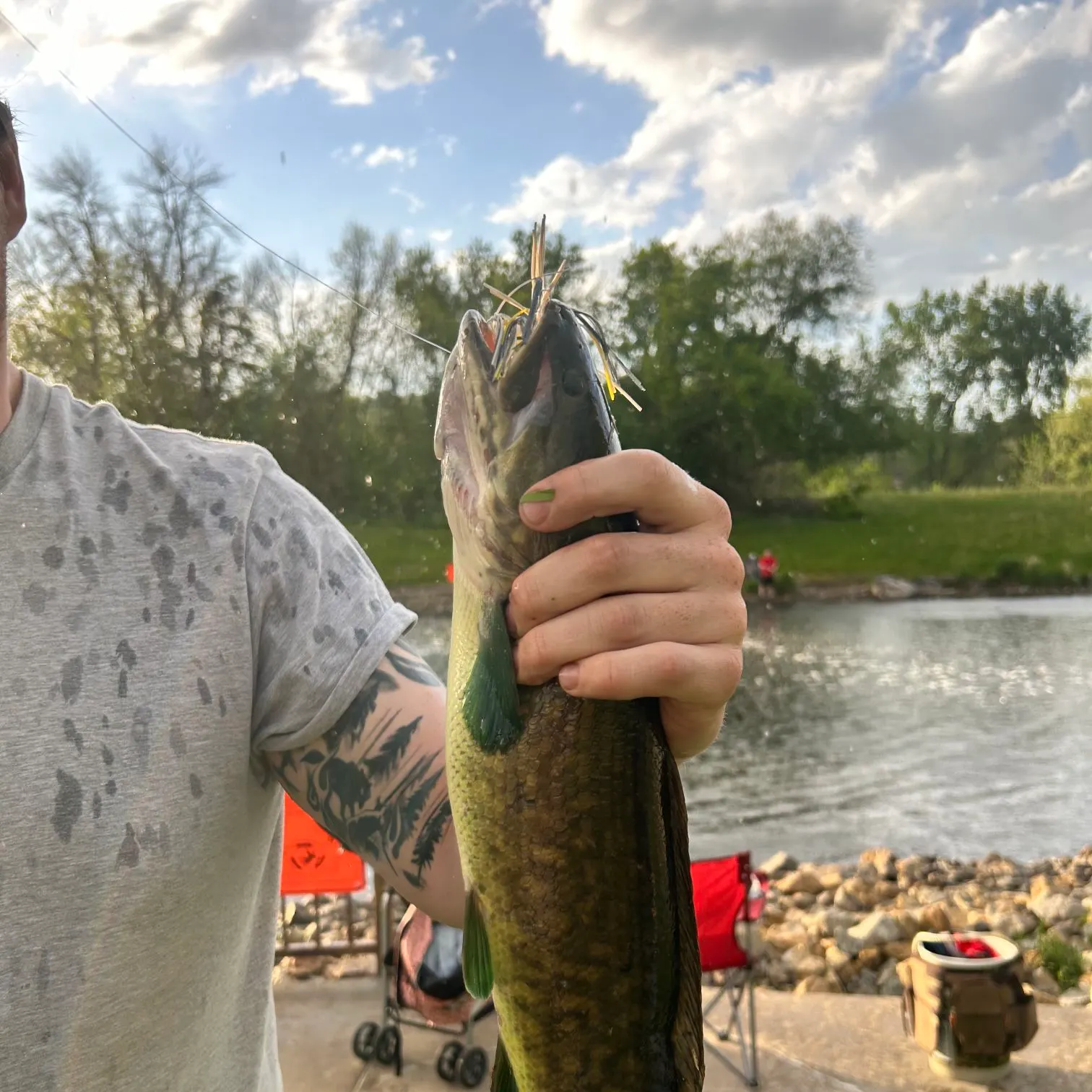 recently logged catches