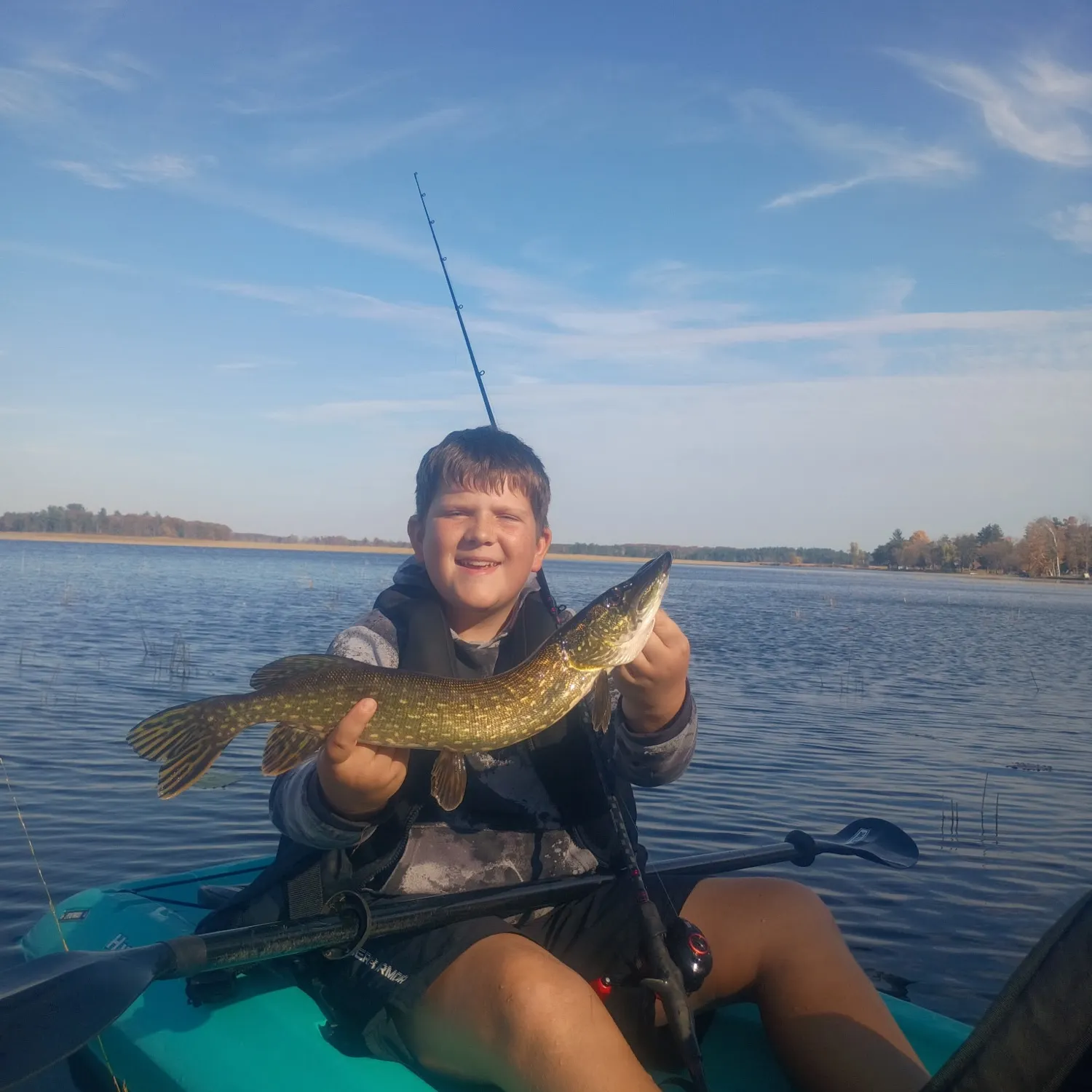 Northern pike caught on Fishbrain