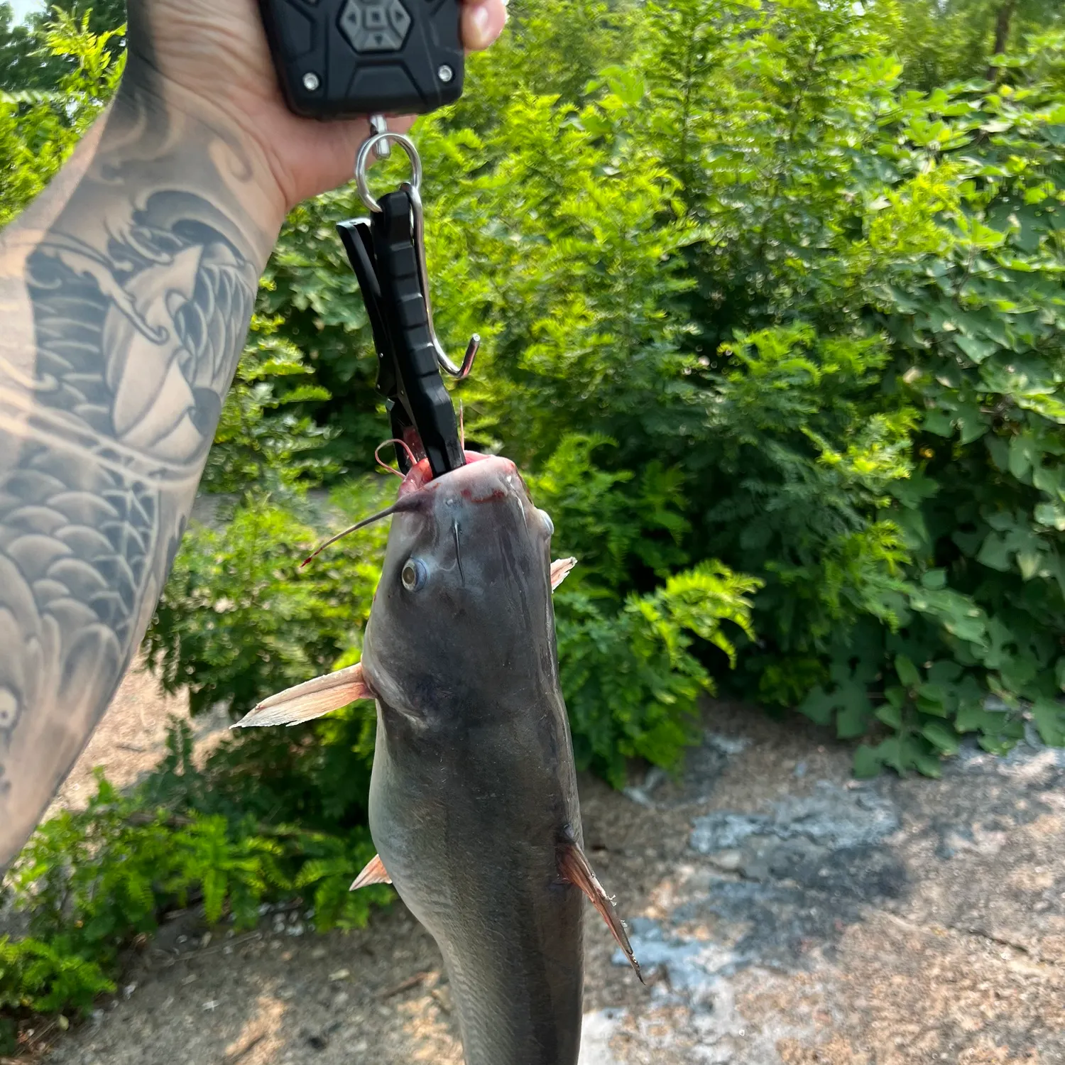 catch