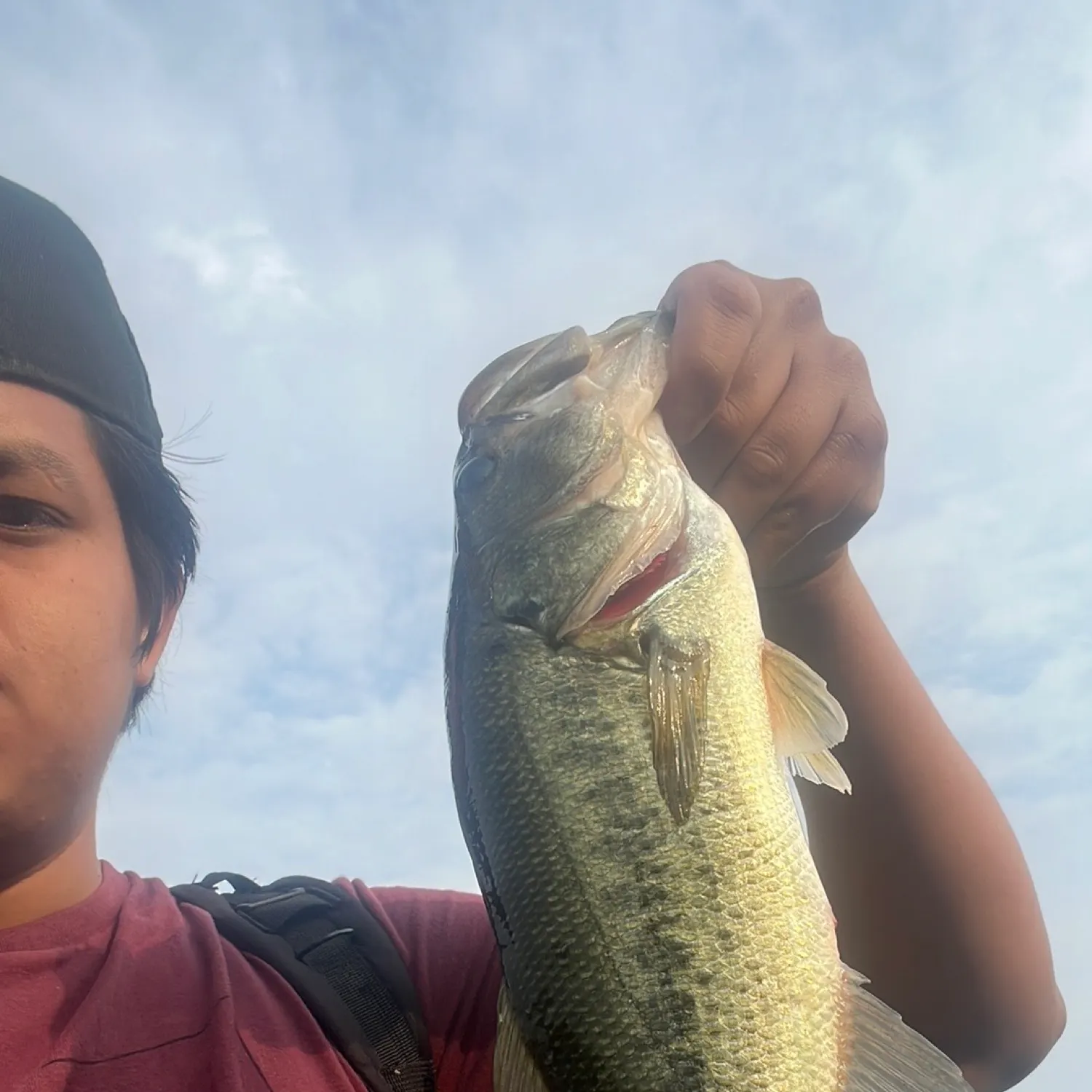 angler catch