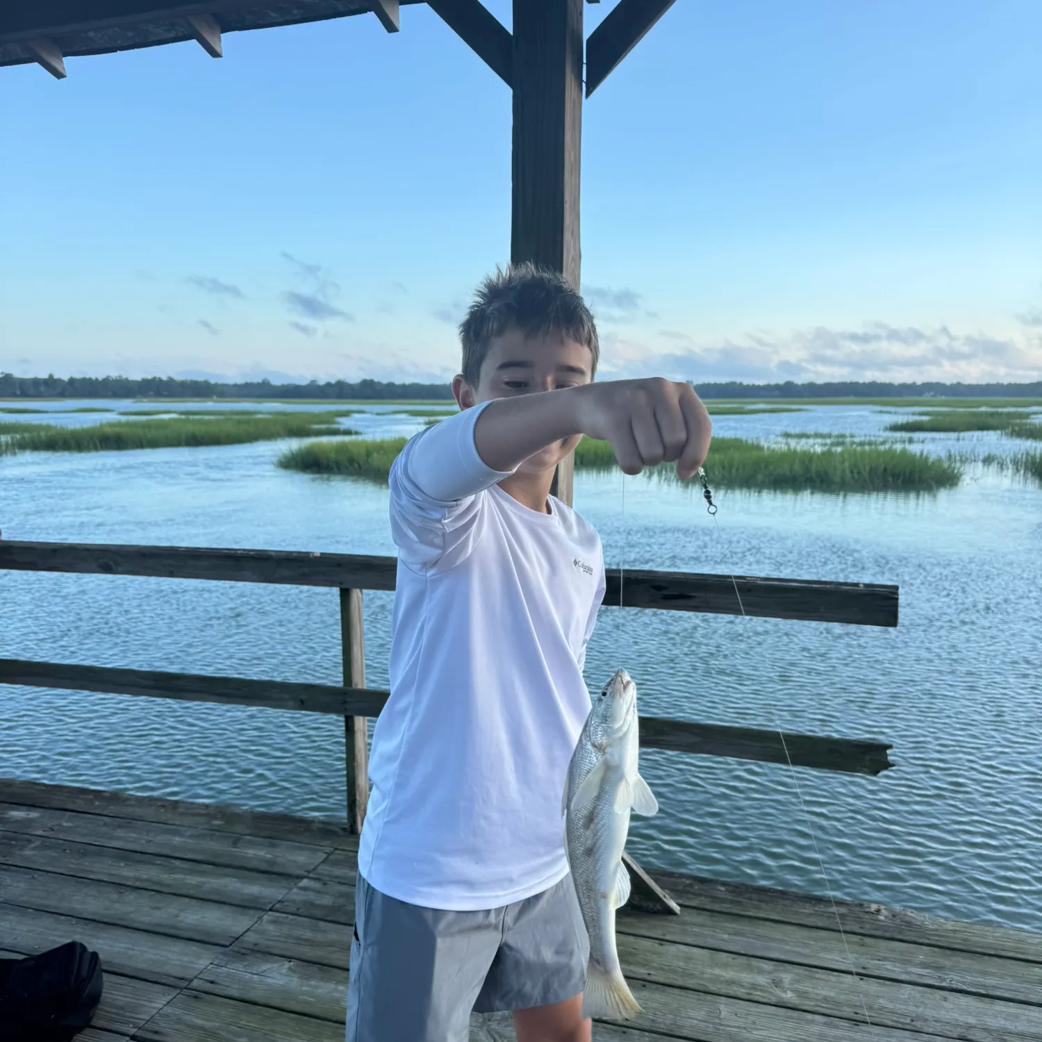 The most recent Southern kingcroaker catches on Fishbrain