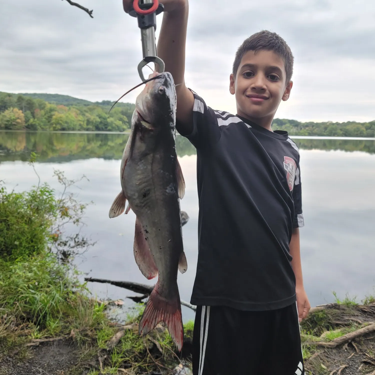 Channel catfish caught on Fishbrain