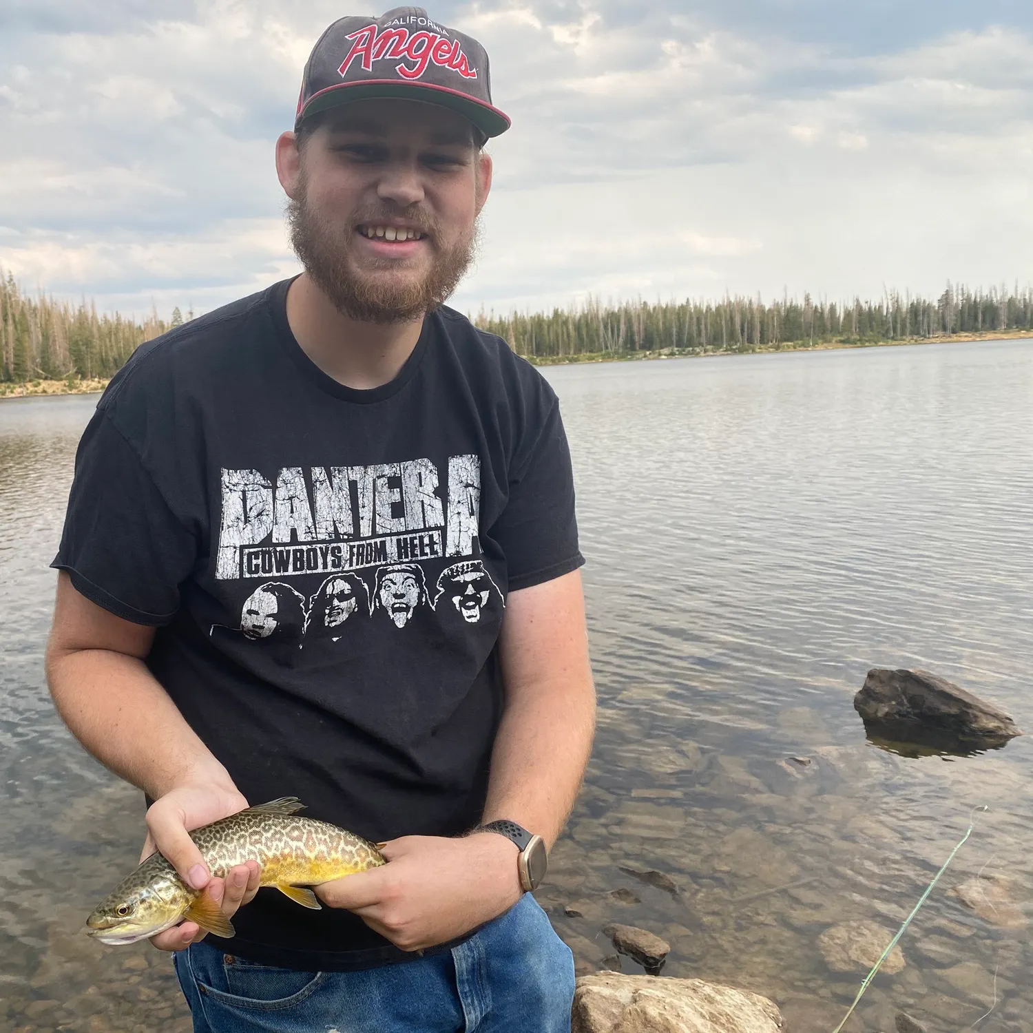 The most recent Tiger trout catches on Fishbrain