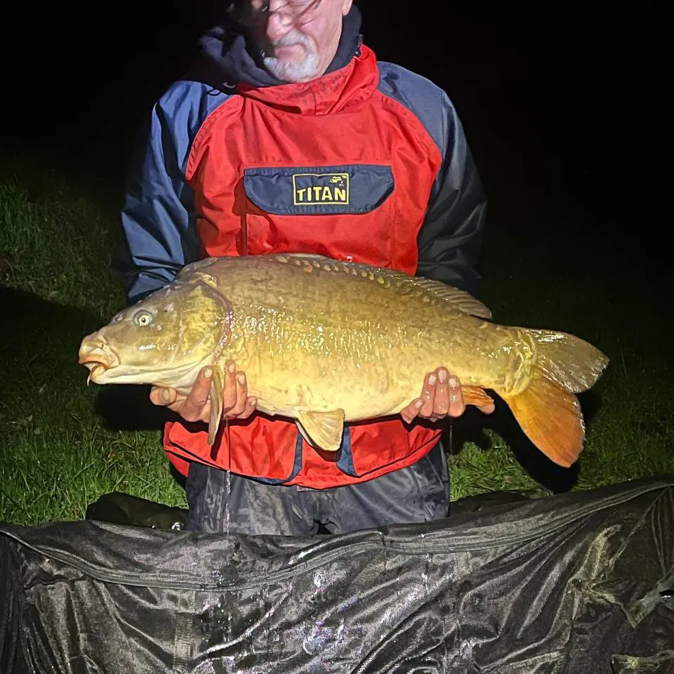 The most recent Leather carp catches on Fishbrain