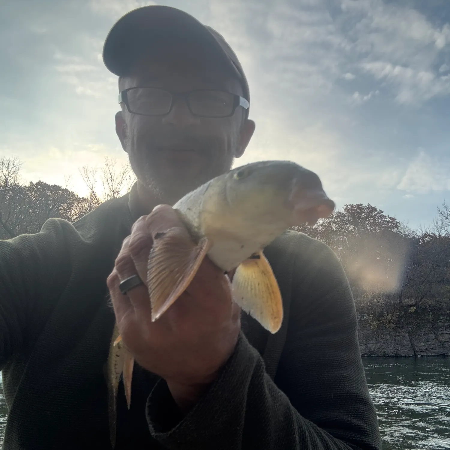 Common carp caught on Fishbrain