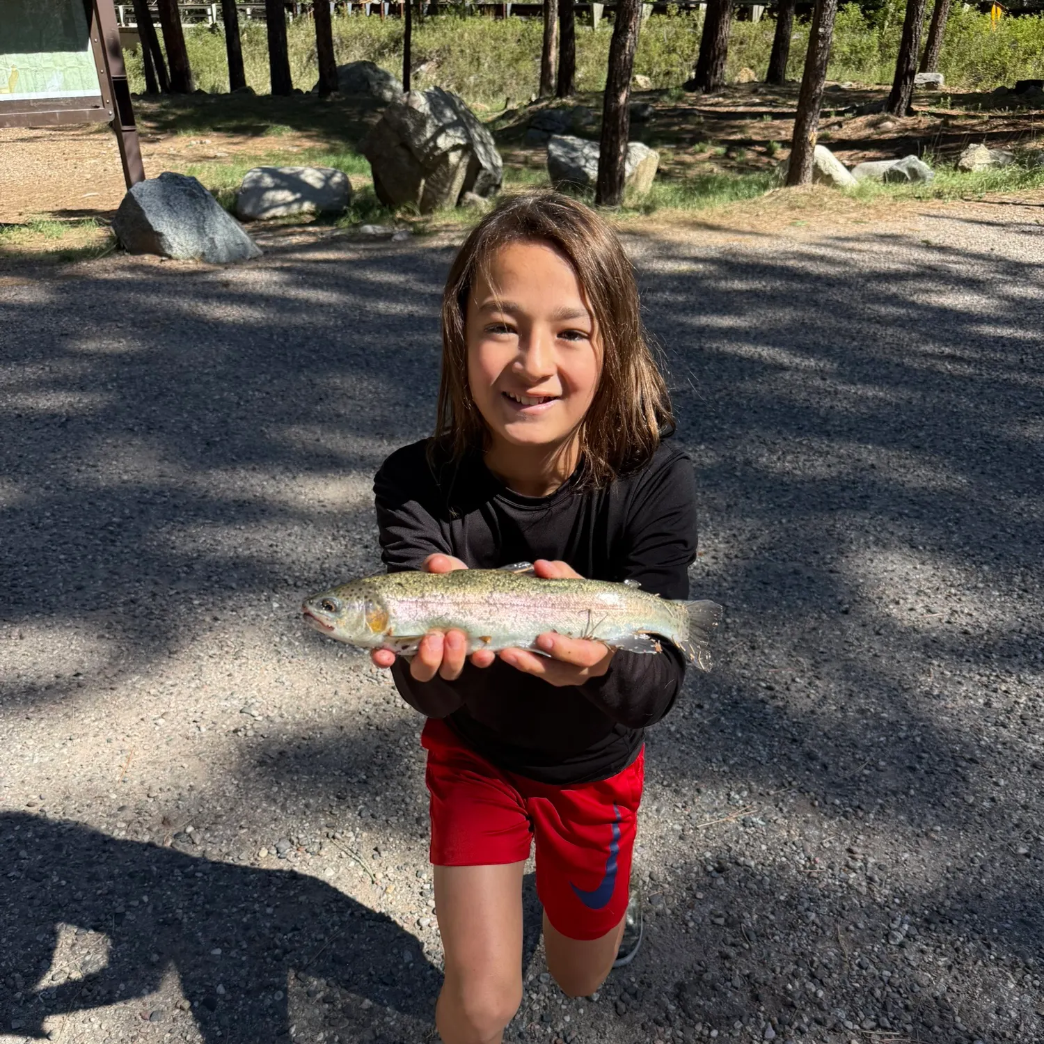 Rainbow trout caught on Fishbrain