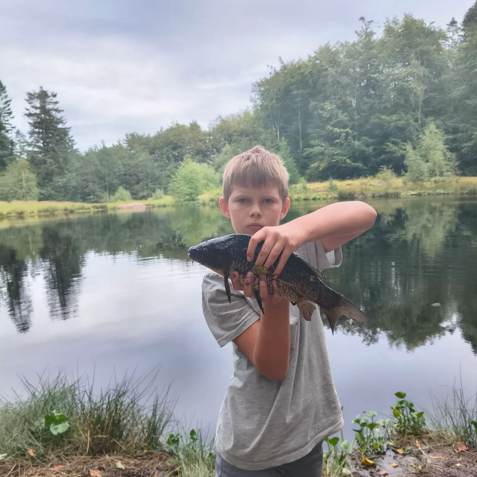 Common carp caught on Fishbrain