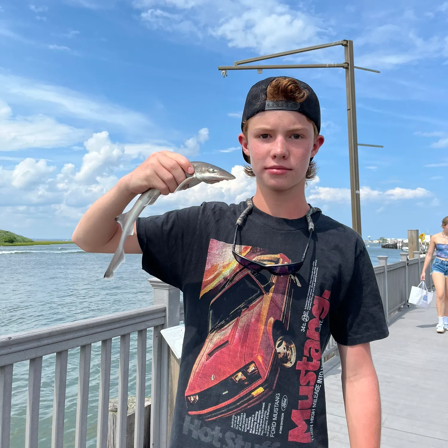 The most recent Brownbanded bamboo shark catches on Fishbrain