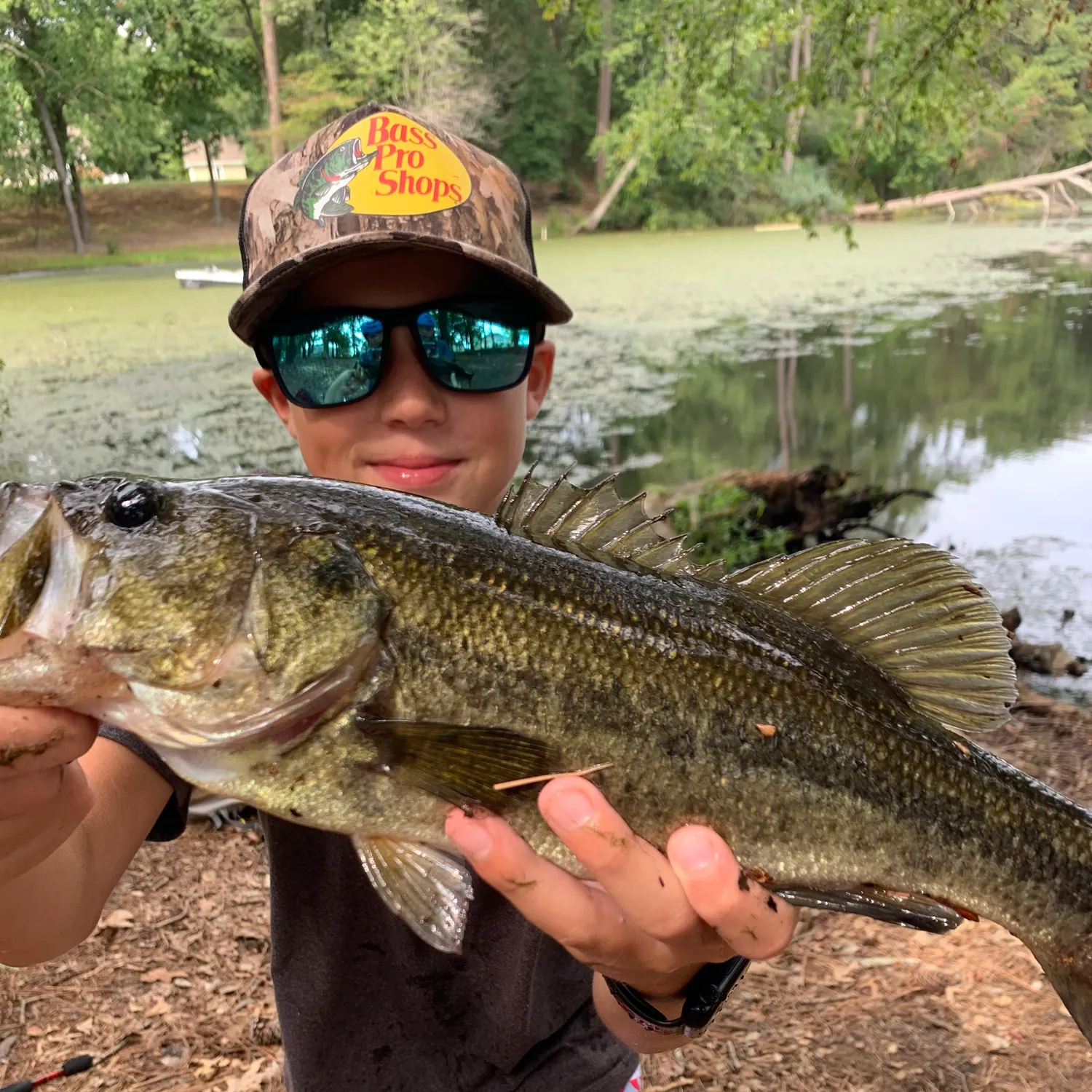 Largemouth bass caught on Fishbrain
