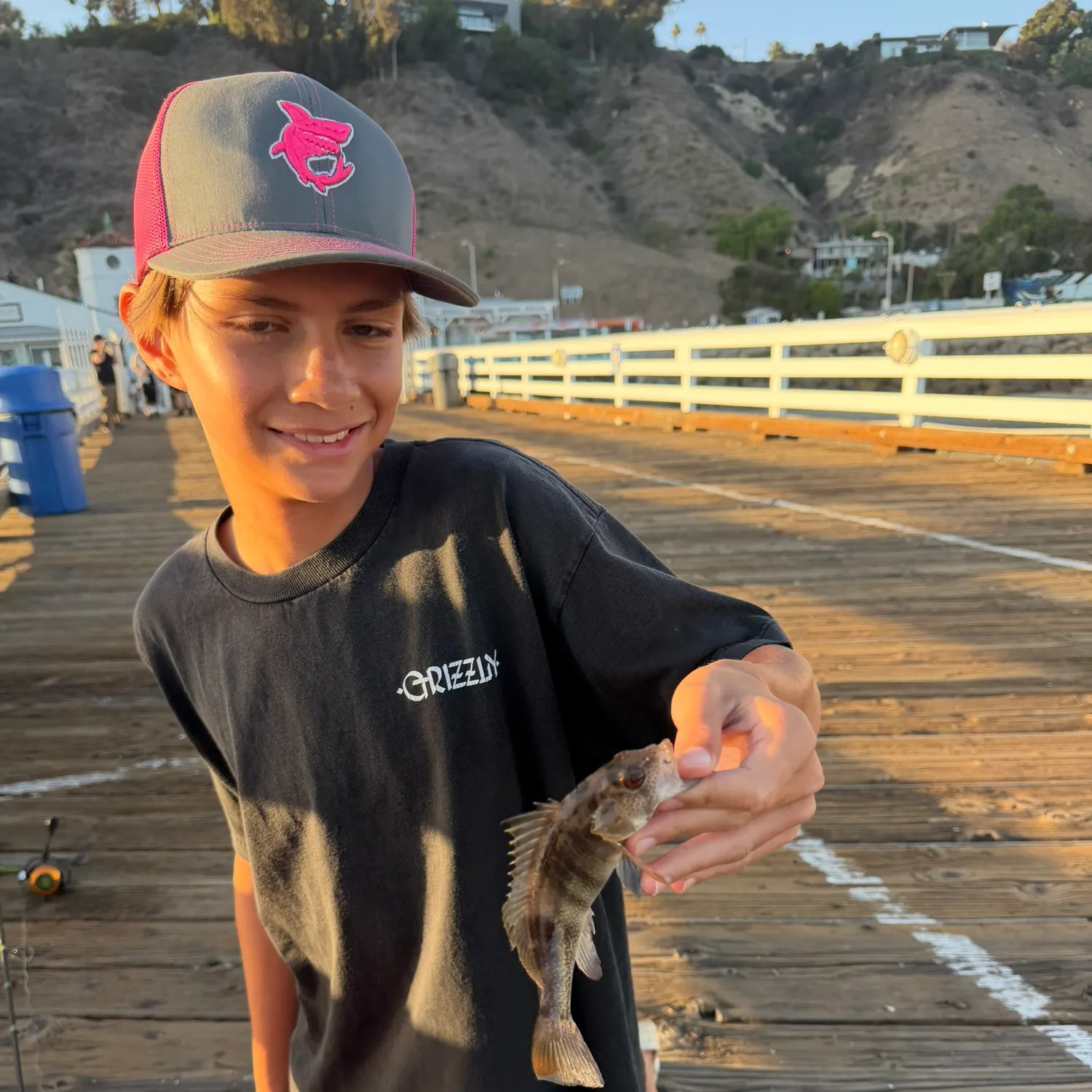 Barred sand bass caught on Fishbrain