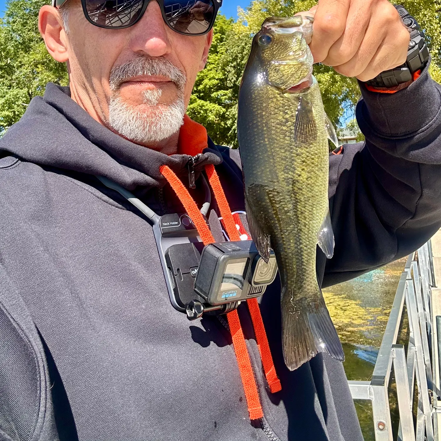 Largemouth bass caught on Fishbrain