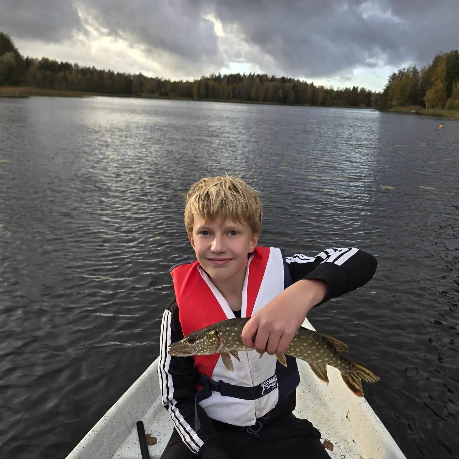 Northern pike caught on Fishbrain