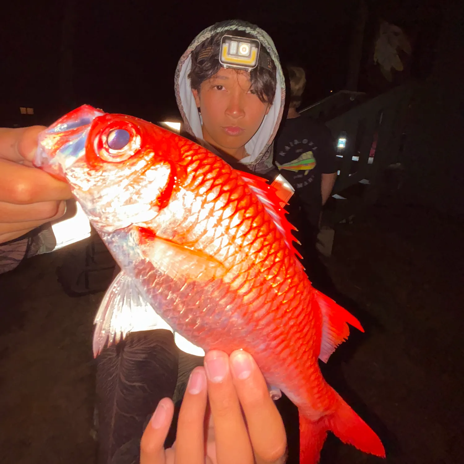 The most recent Blotcheye soldierfish catches on Fishbrain