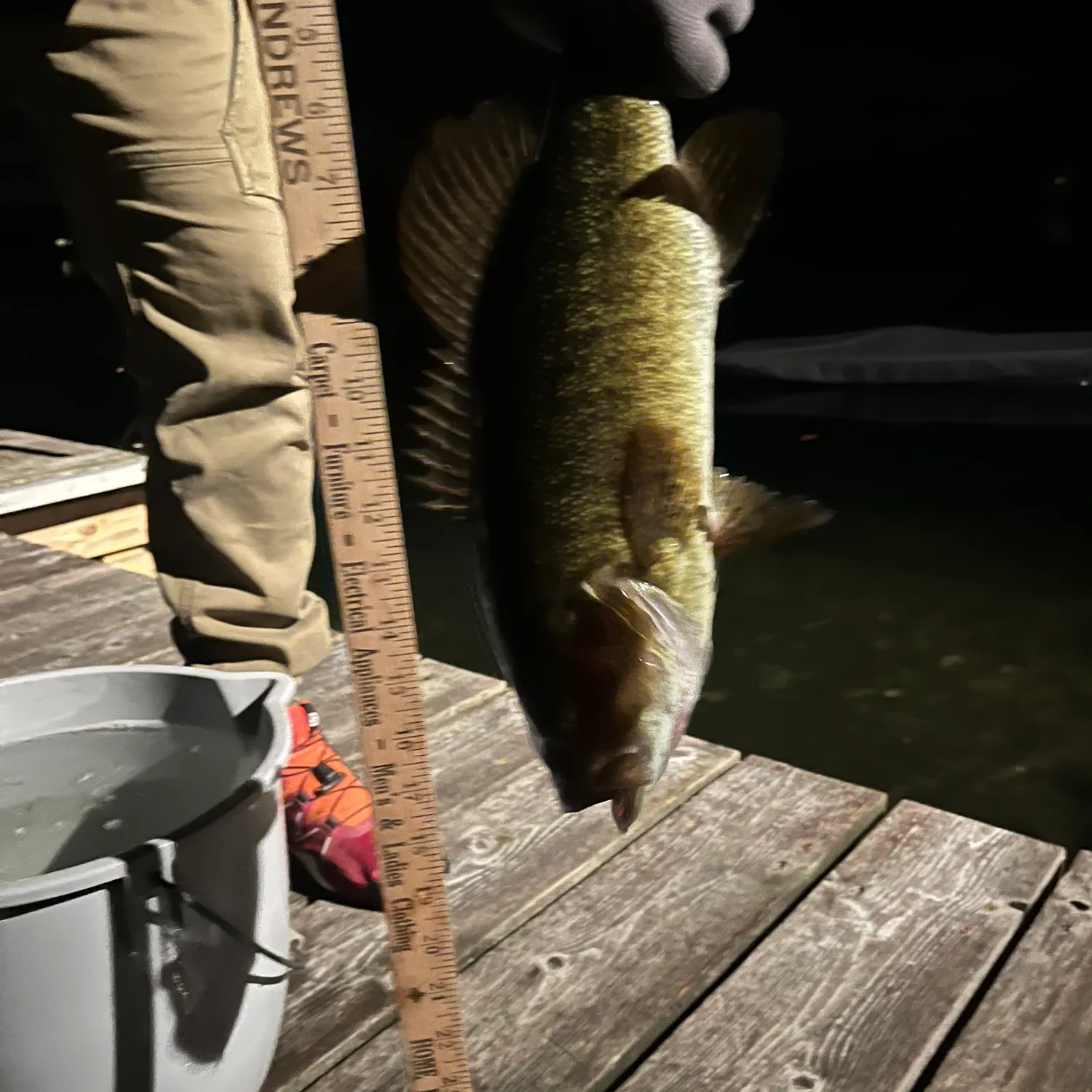 Smallmouth bass caught on Fishbrain