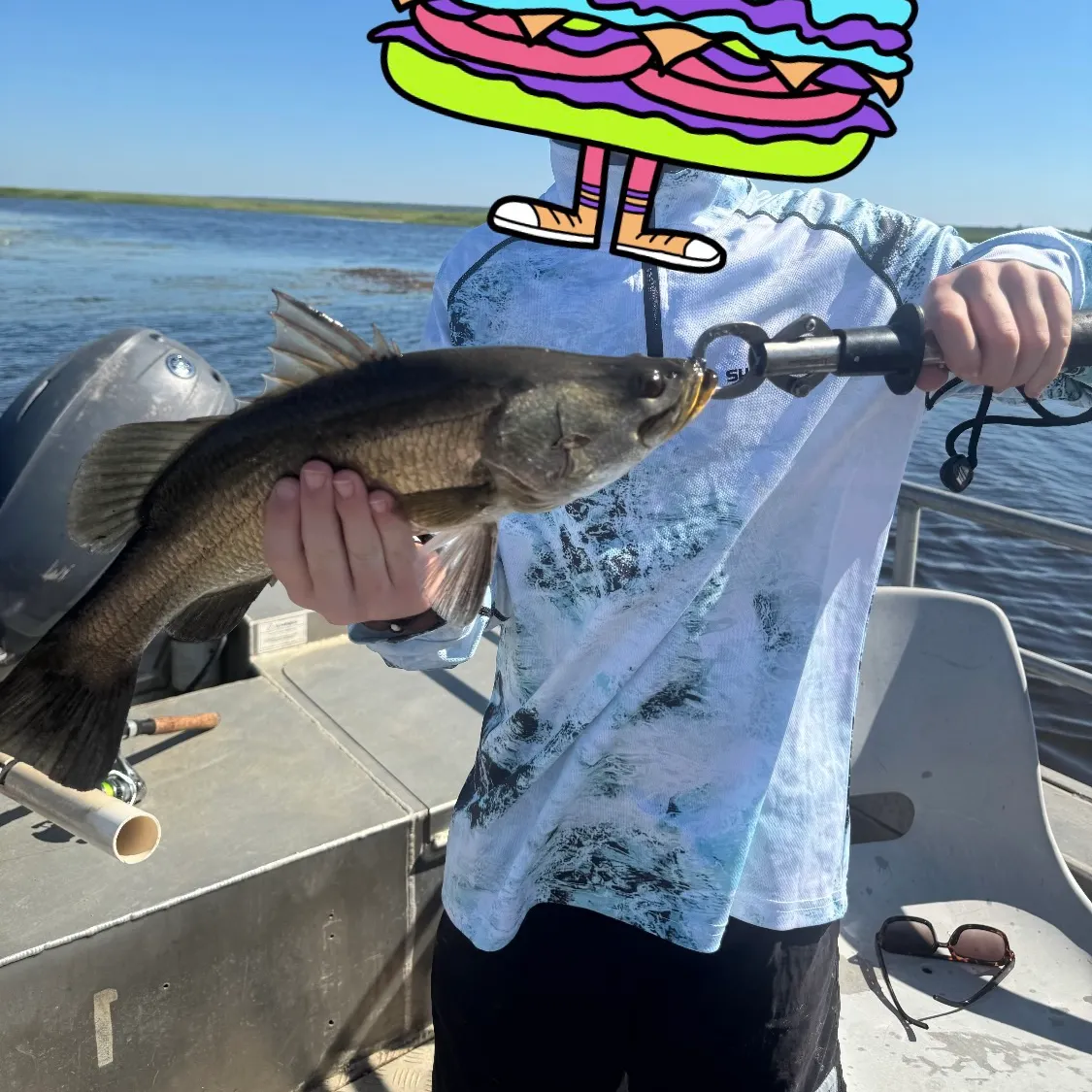 The most recent Barramundi catches on Fishbrain