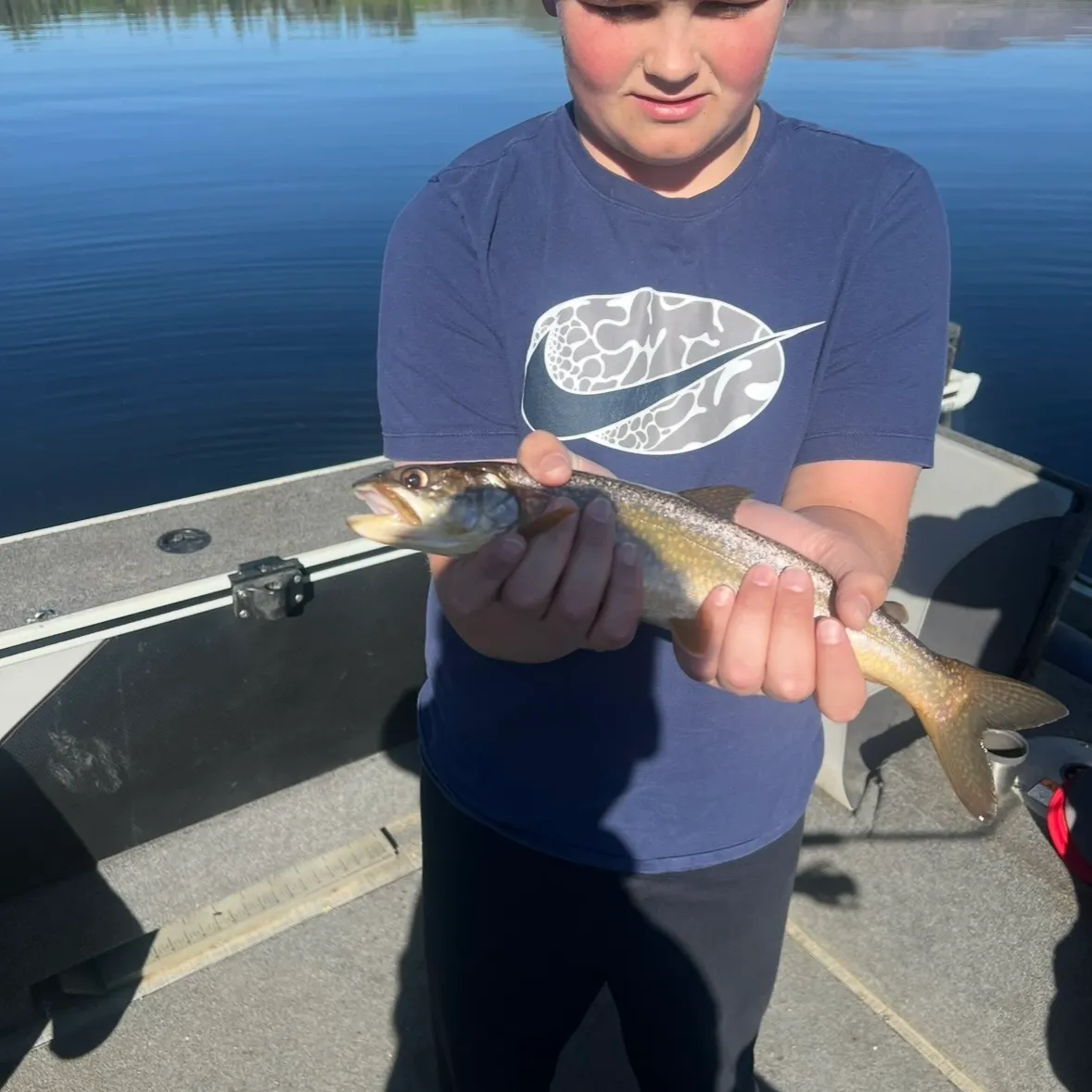 The most recent Splake catches on Fishbrain