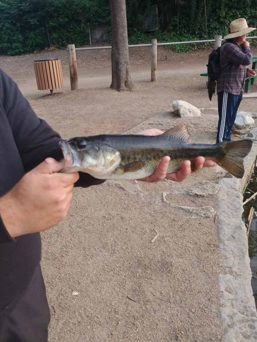 Post image from ElNightcrawler562