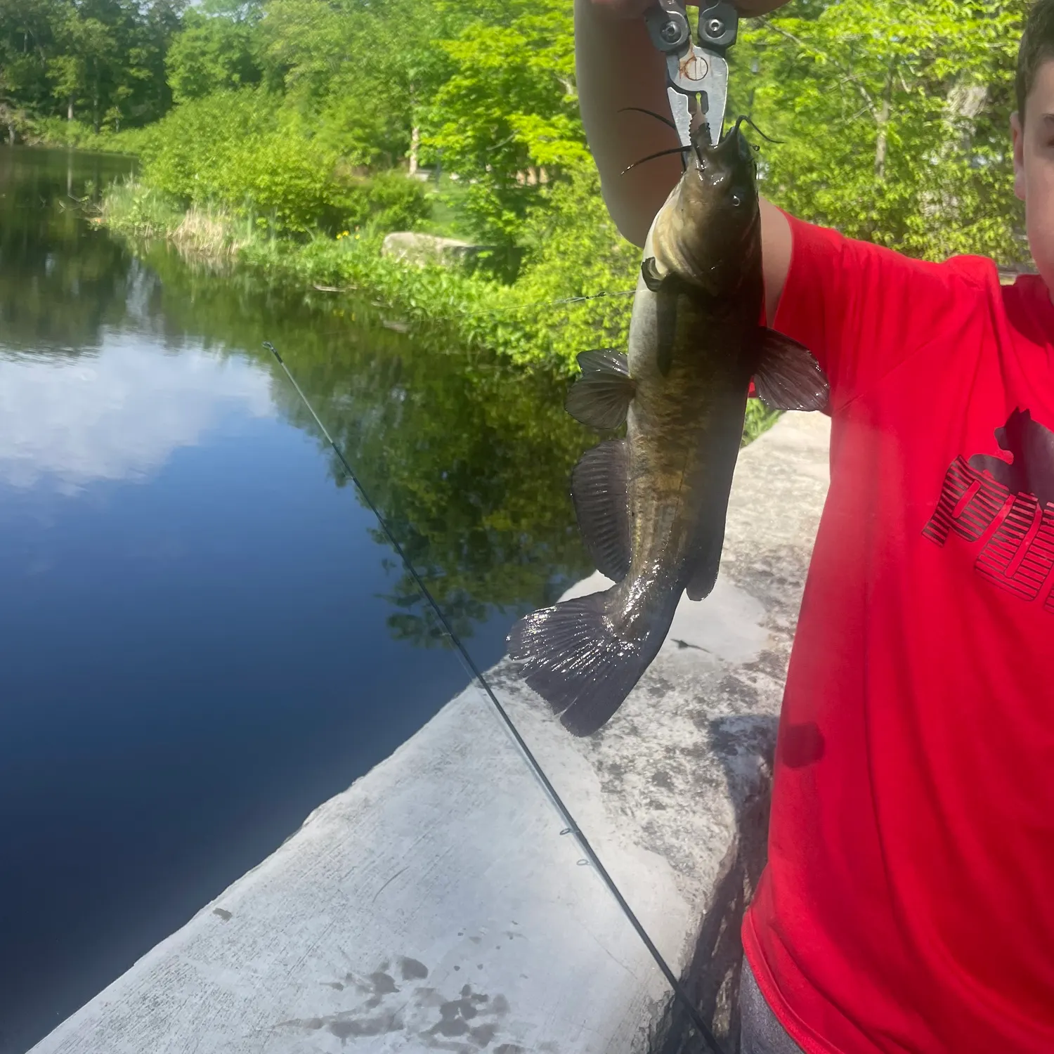 catch