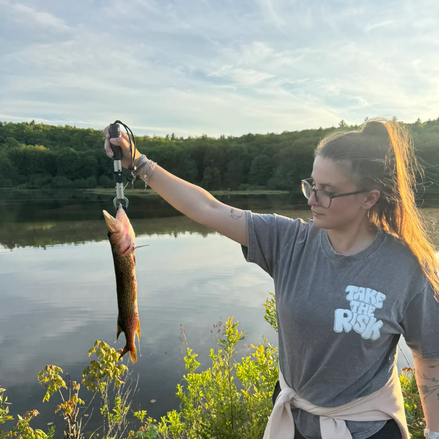 The most recent Chain pickerel catches on Fishbrain