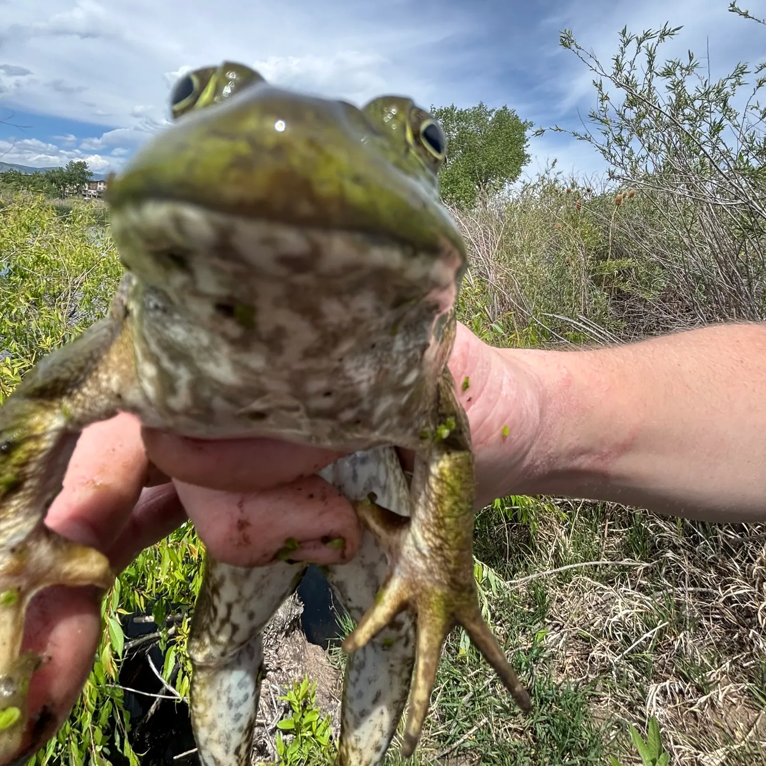 catch