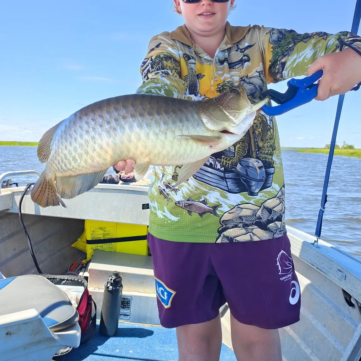 Spotted bonytongue caught on Fishbrain