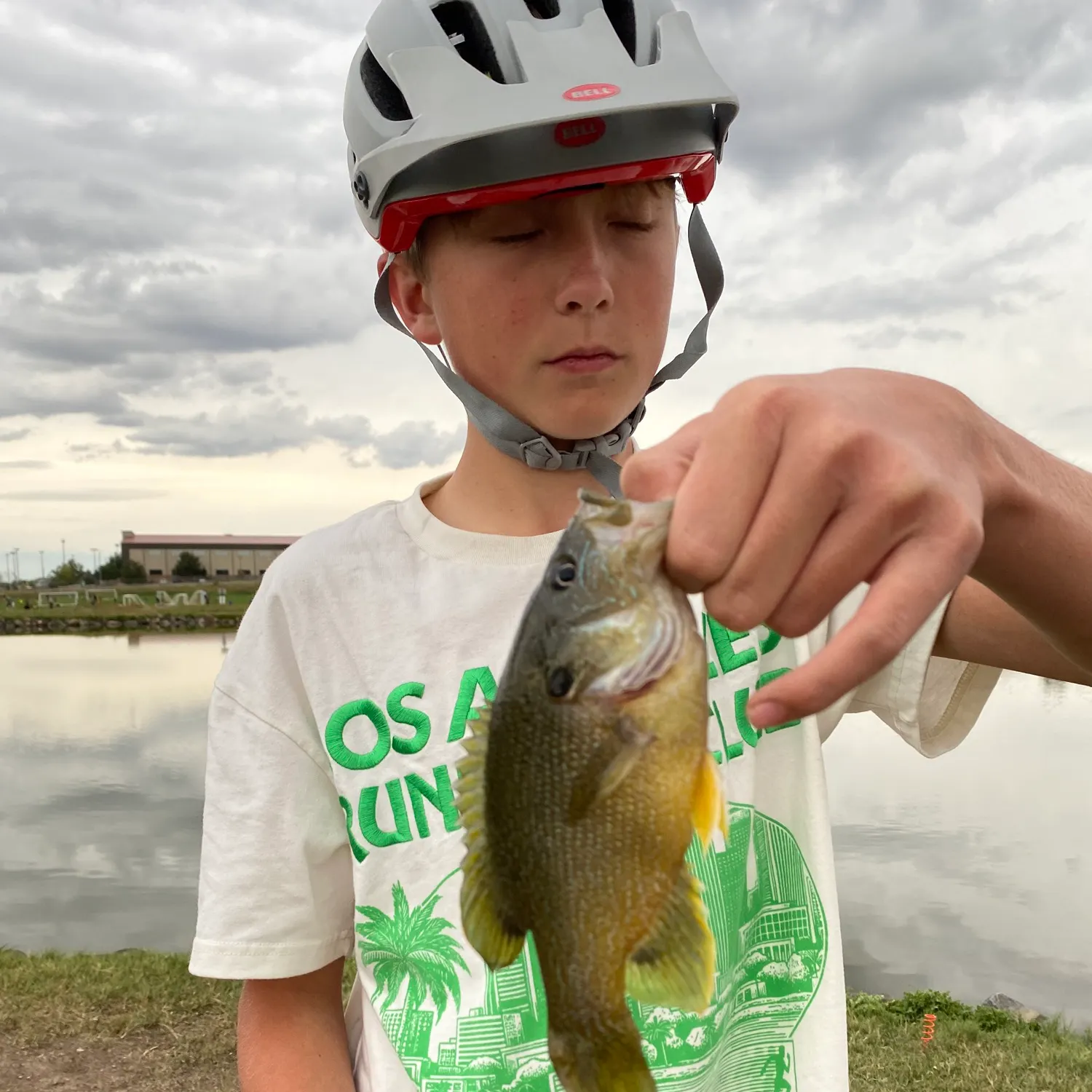 Green sunfish caught on Fishbrain