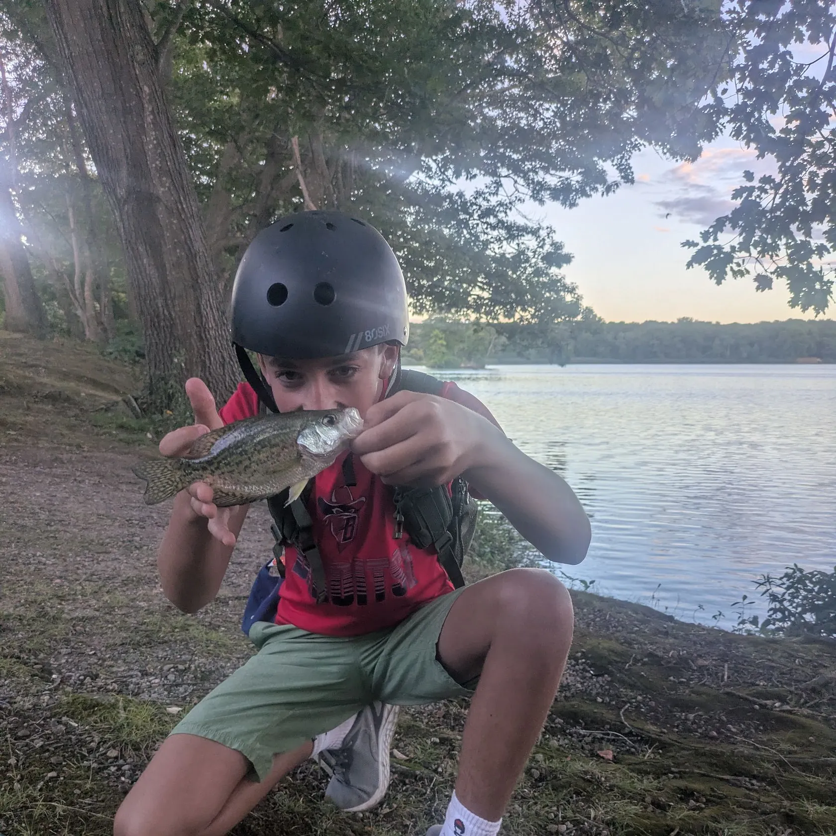 Black crappie caught on Fishbrain