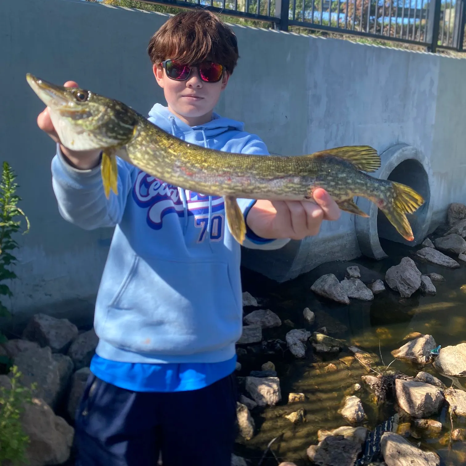Northern pike caught on Fishbrain