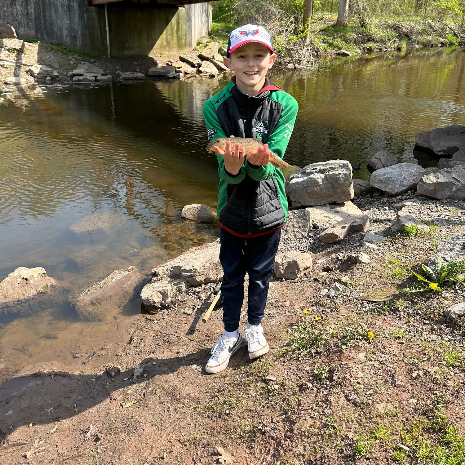 The most recent Northern hogsucker catches on Fishbrain