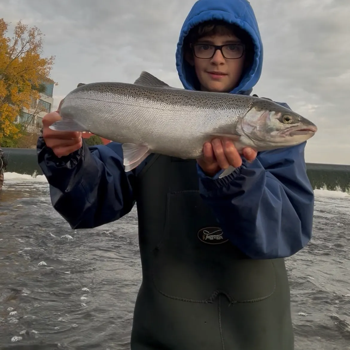 Steelhead caught on Fishbrain
