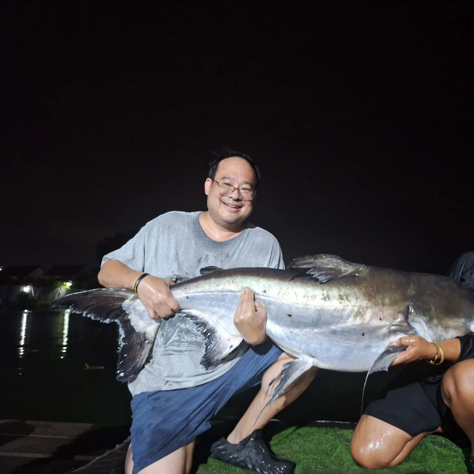 Giant pangasius caught on Fishbrain