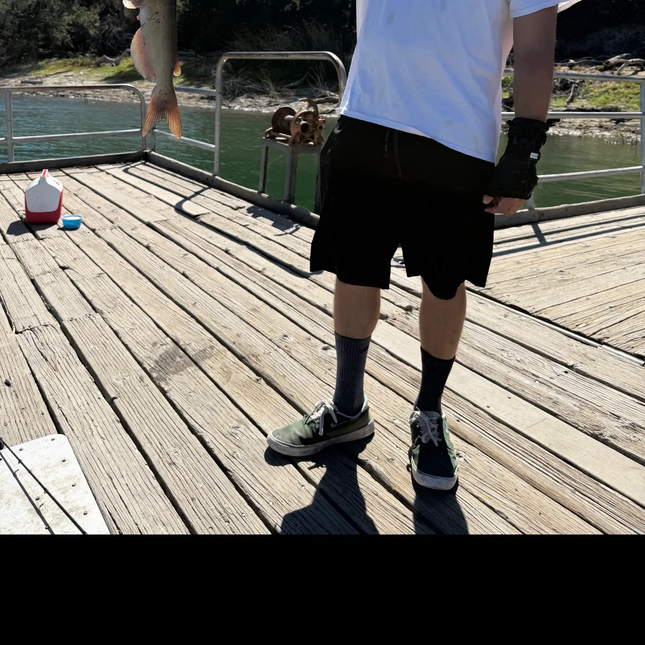 Channel catfish caught on Fishbrain