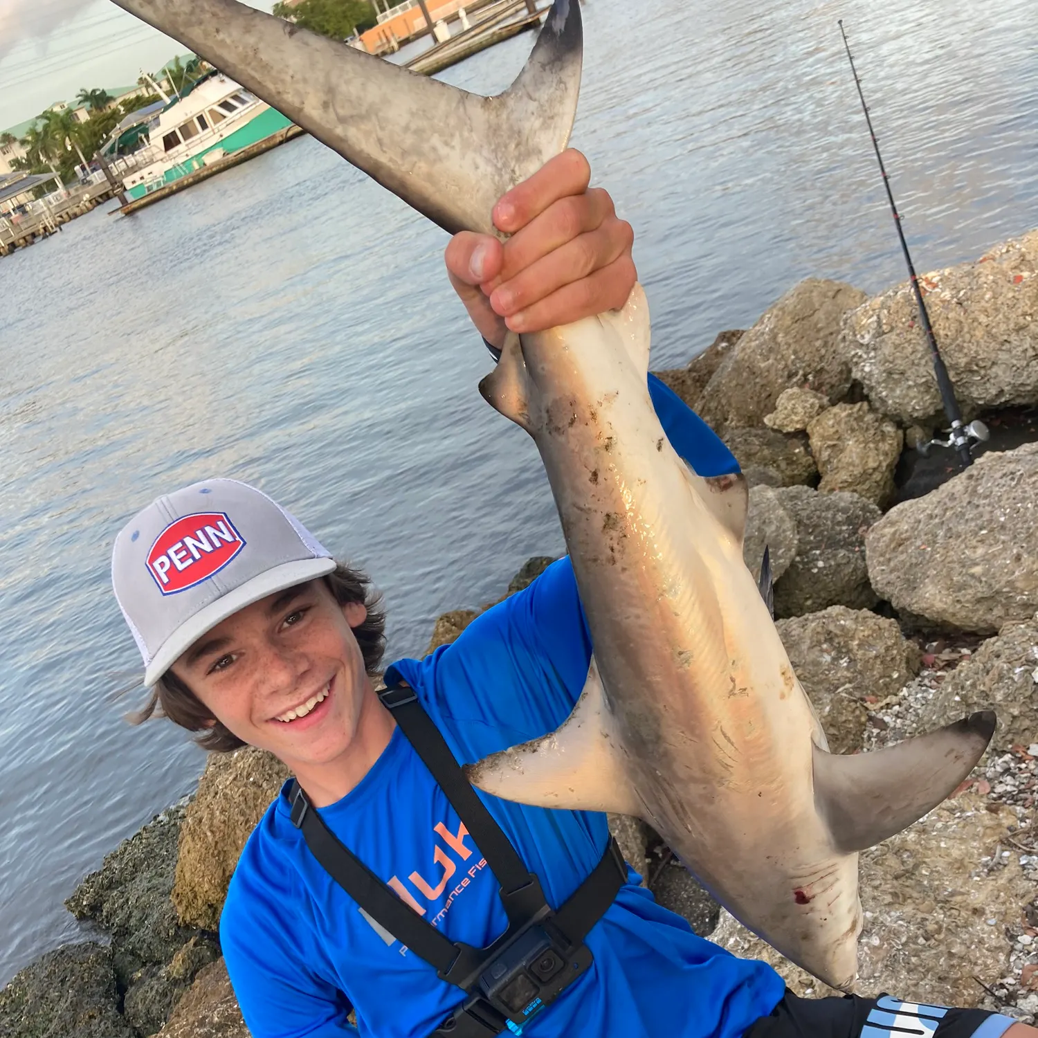 The most recent Blacktip shark catches on Fishbrain