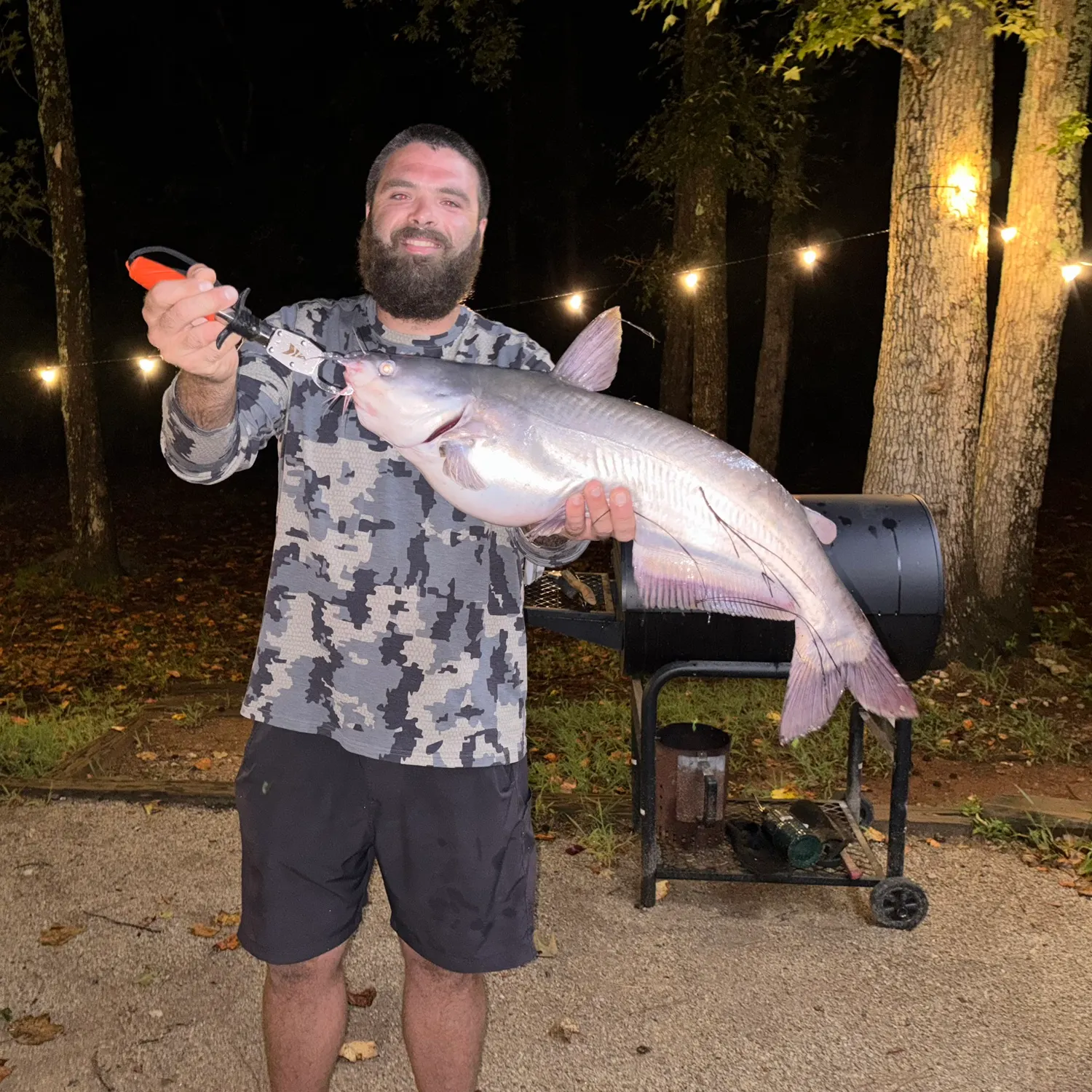 Blue catfish caught on Fishbrain