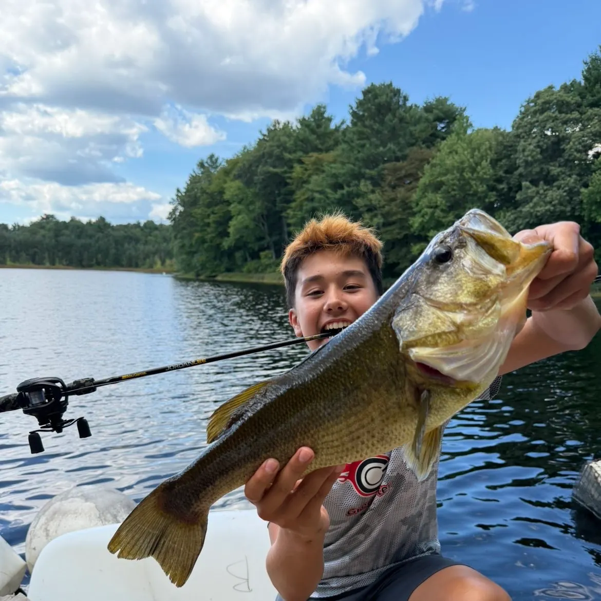 Largemouth bass caught on Fishbrain