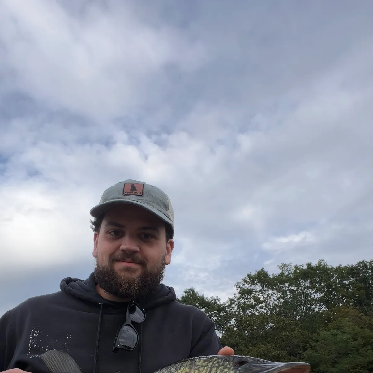 Chain pickerel caught on Fishbrain